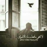 نصْ وقَصيده "
