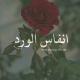 صباح الخير ، انفاس الورد