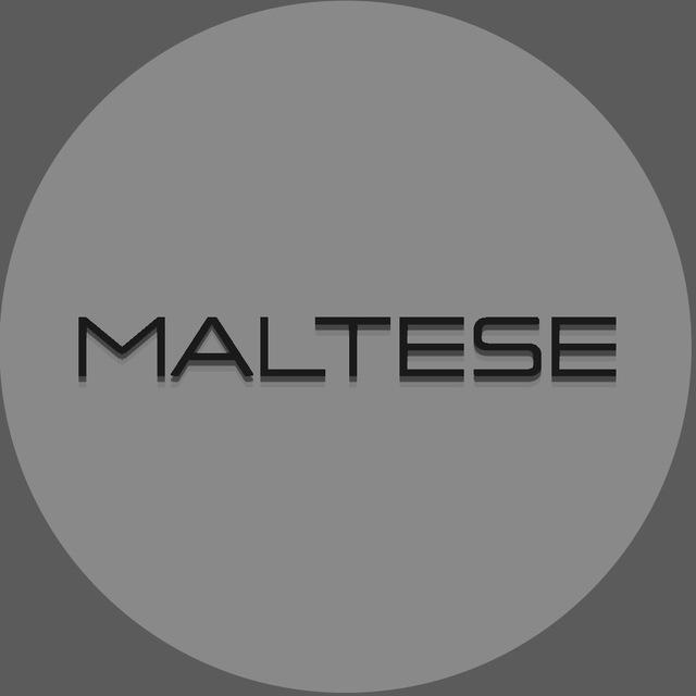 MALTESE GLAM