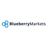 Blueberry markets™️