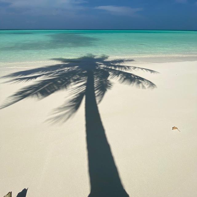 🌴 Мальдивы 🌴