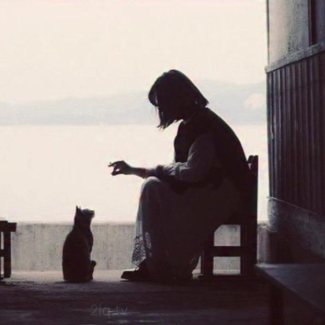 - عـزلـتـي‌ .