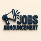 Everyday - Job announcement