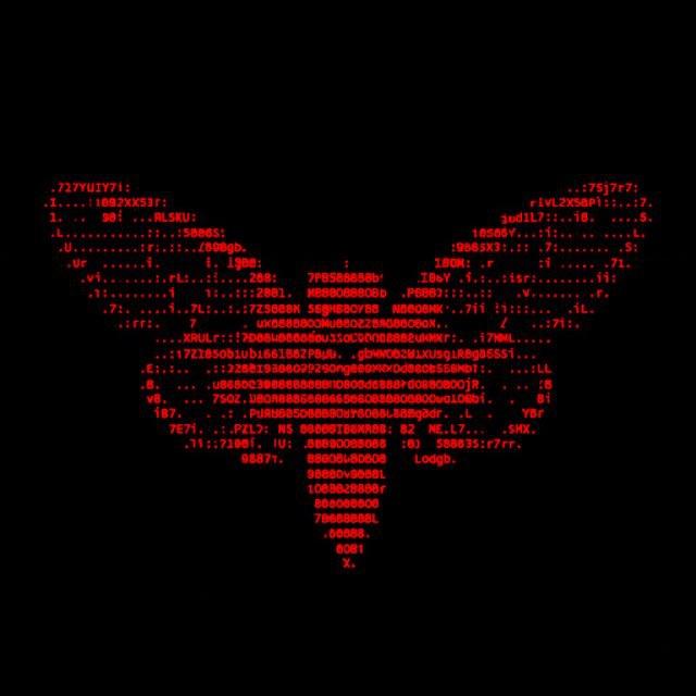 cicada.t/u