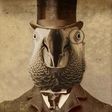 Папук поцупив🦜
