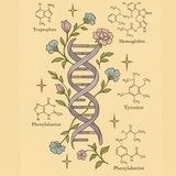 BIO22 - groups 14,16