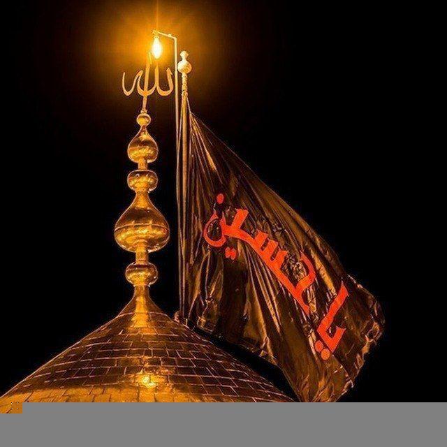 اقتباسات حسينية 🖤