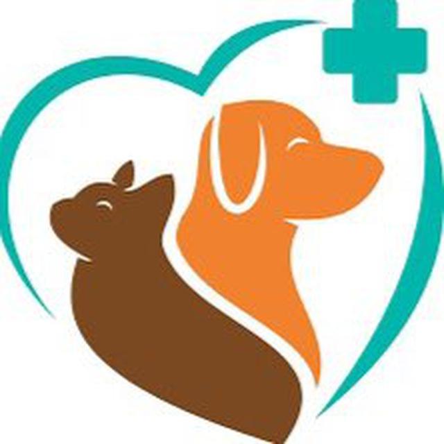 ДианаВет Бердянск🐶