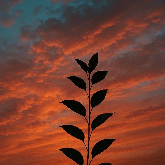 Lightroom Presets DNG File