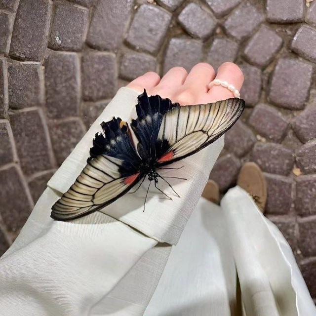 𝐌𝐘 𝐌𝐎𝐎𝐍 🦋🌑.