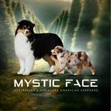 MysticFACE Аусси и МАС