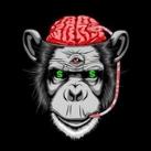Bet MINDS🧠