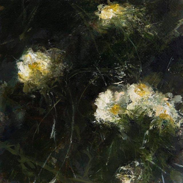 Daisy
