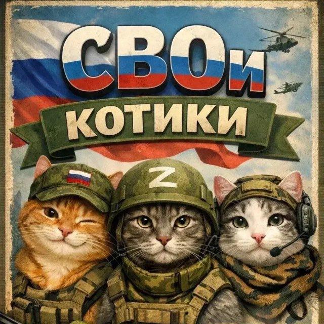 🇷🇺 СВОи котики 🇷🇺