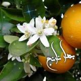 شعر بهـارنـارنـ🍃ـج