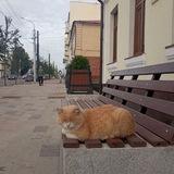 Блоха|Антидневник