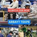 Koreya ish Arbayt Tekpe Seul Busan Ulsan Incheon Dejon Sejong Iksan Gunsan Kimhe Chonan Hanjin Daeso Jonbuk ​Ansan
