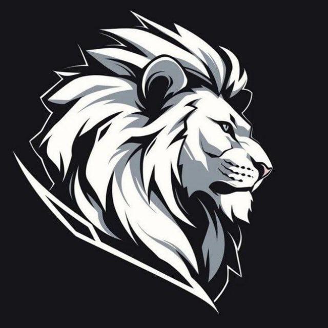 Simba 幣圈合約王