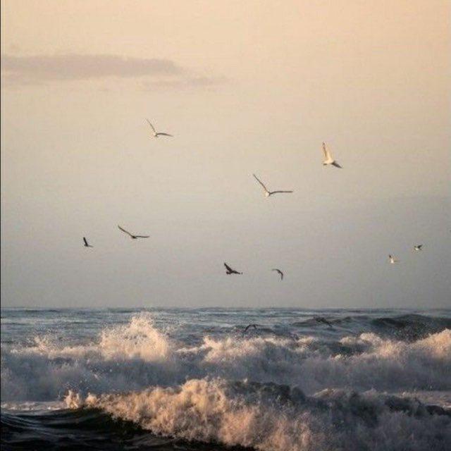 نهاية حٌب