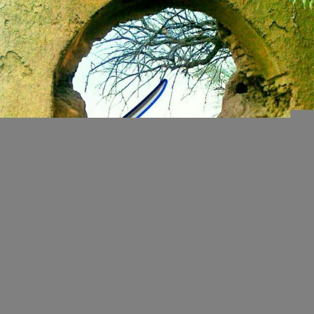 خبر روز طزرک 🌍