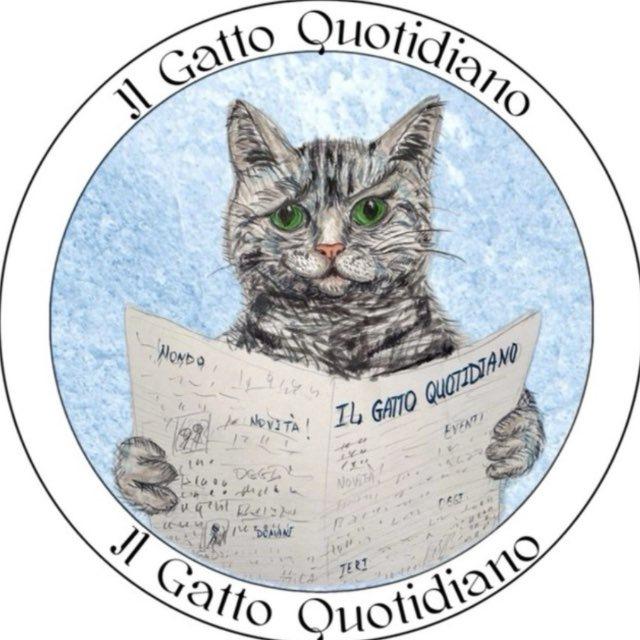 Il Gatto Quotidiano