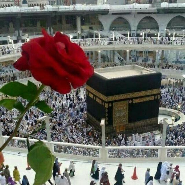 قُلْ هُوَ نَبَأٌ عَظِيمٌ.🌱