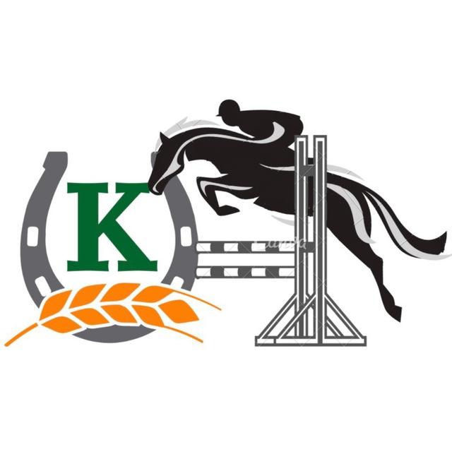 KIROVSKIY COMPETITIONS 🏆
