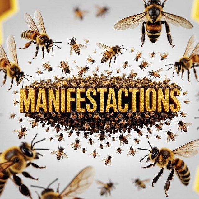 MANIFESTACTIONS