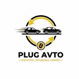 plug_avto