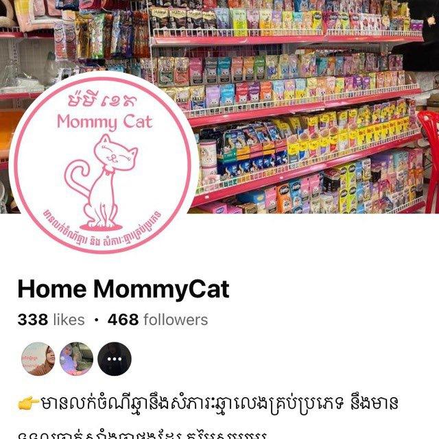 Home Mommy Cat 🐈 Chat