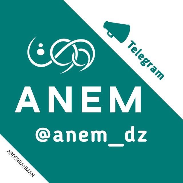 إشعار مواعيد ANEM 📆