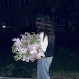 Сонечка💗🍃