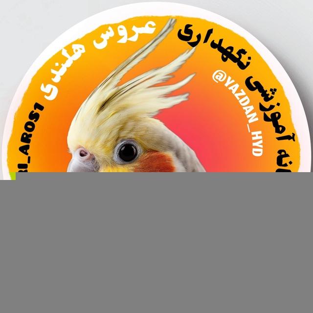 نگهداری عروس هلندی🦜