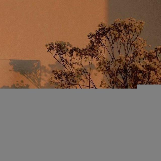 صور مقاطع ابيات قصيد خواطر ضحك شعر خلفيات شيلات اغاني نكت ستريك
