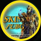 PUBG SKIN