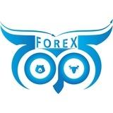 مكتبة ابو اسماعيل OP FOREX