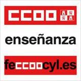CCOO Enseñanza Castilla y León