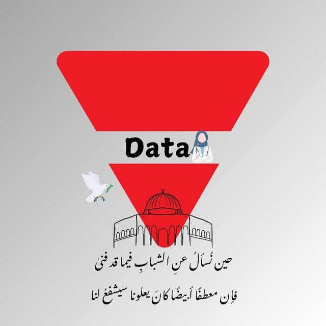 🔻Data𓂆
