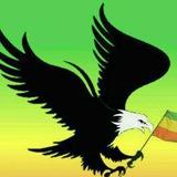ንስር ሚዲያ-(Nisir Media)