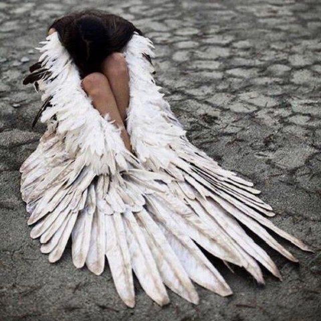 ‌Elaren