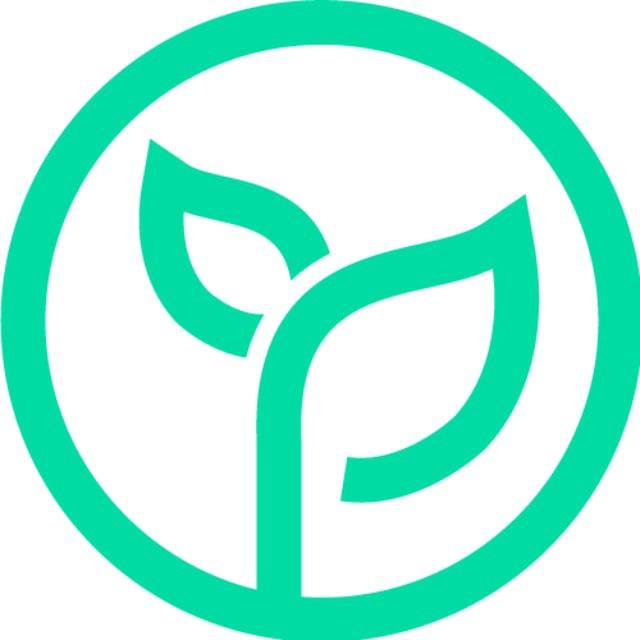 Beansprout Insights