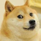 和平精英doge追踪