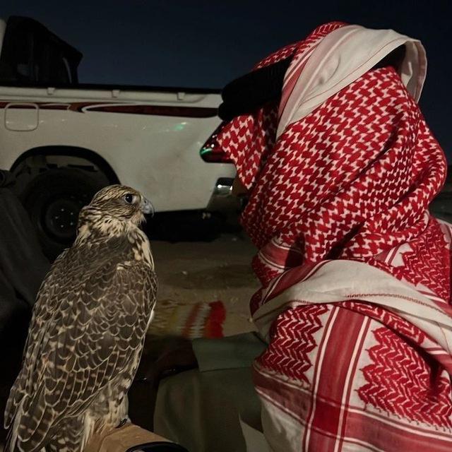 ياسعود ي سعود