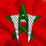 ما يهمني من أنباء المغرب