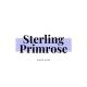 Sterling Primrose 𖣂 Wide–Open