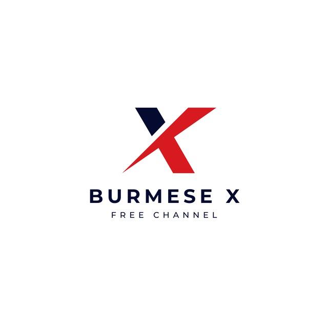 Burmese X