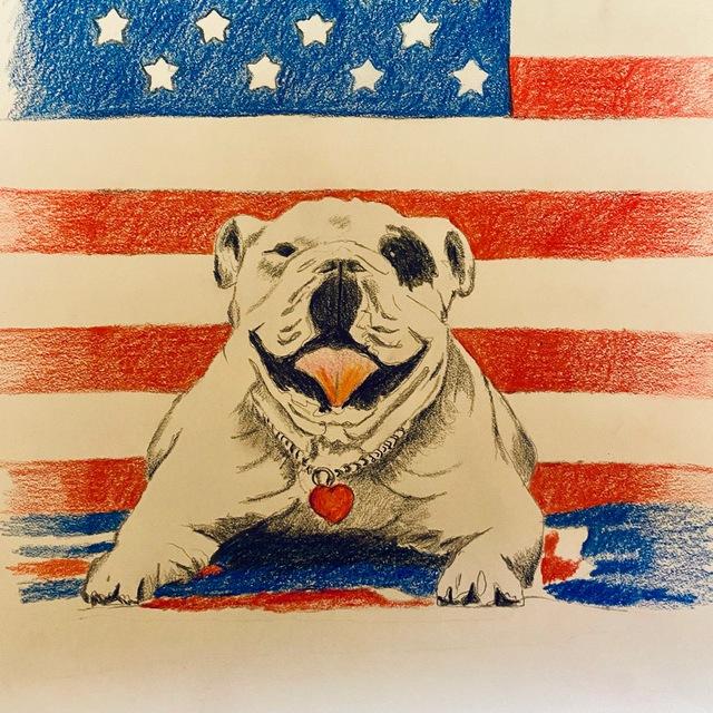 Patient Advocate Bulldog