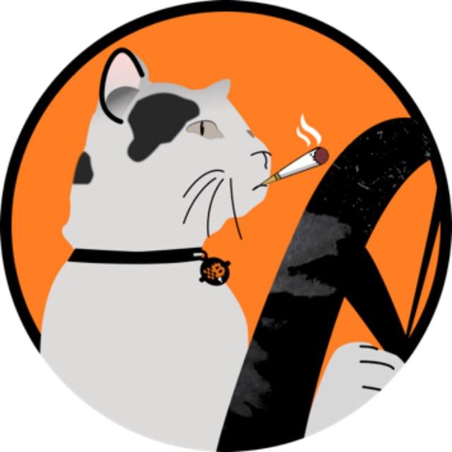 Cat Driving Bitcoin Announcement