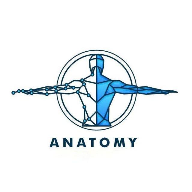 Anatomy_3D