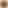 𝗧𝗖𝗦 | 𝗜𝗕𝗣𝗦 𝗣𝗬𝗤 ™